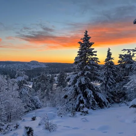 Cozy With Breathtaking Views On Golsfjellet *