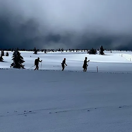 Cozy With Breathtaking Views On Golsfjellet * Gol