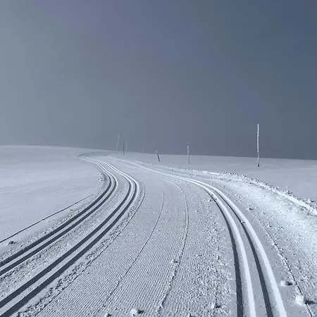 Cozy With Breathtaking Views On Golsfjellet * גול