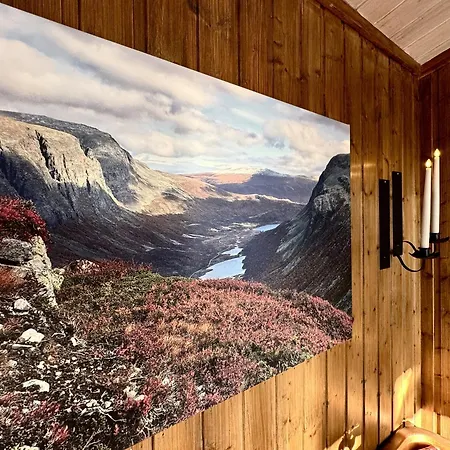 Tatil Evi Cozy With Breathtaking Views On Golsfjellet